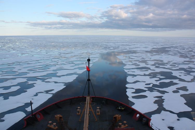 U.S. Coast Guard Cutter Healy in the Beaufort Sea