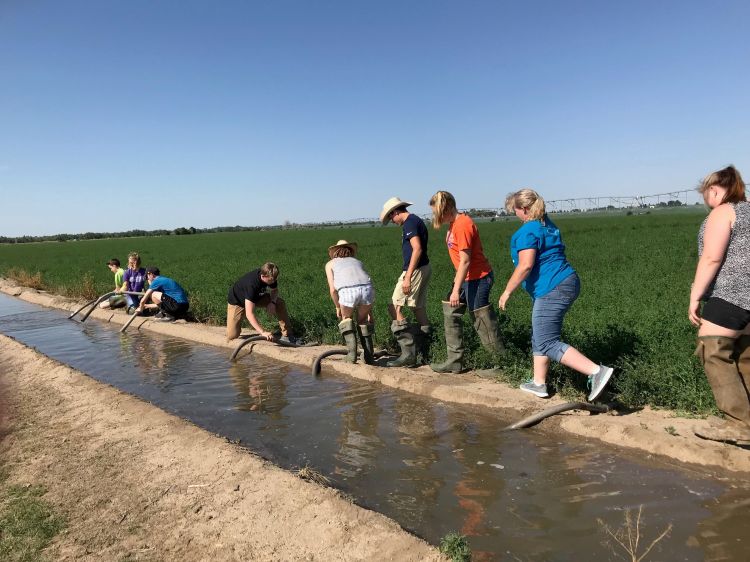 Youth placing irrigation pipes