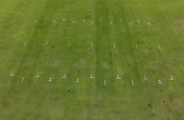 Bentgrass Research plots outlined with dashed white paint and numbered 1,2,2,1,1,2