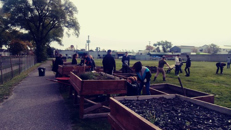 A group of volunteers working in the 4-H gardens at the Max Thompson Family Resource Center.