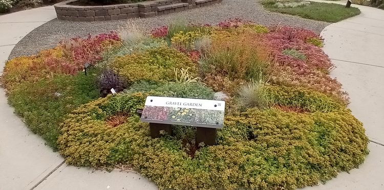 A garden landscaped with plants and gravel.