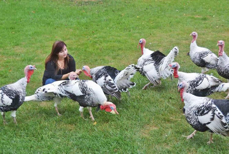 Haley with her turkeys. All photos provided by Janie Jo and Haley Lemle.