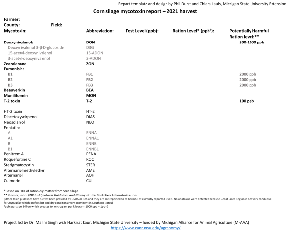 Screenshot of template report