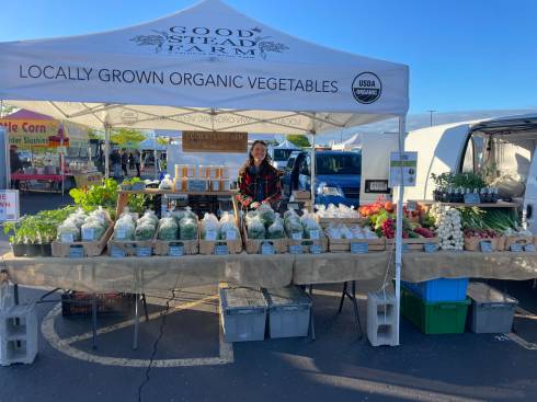 Map of Michigan showing land available through MI FarmLink as Green icons. Some icons have a number to show you to zoom in to see multiple farmsites.