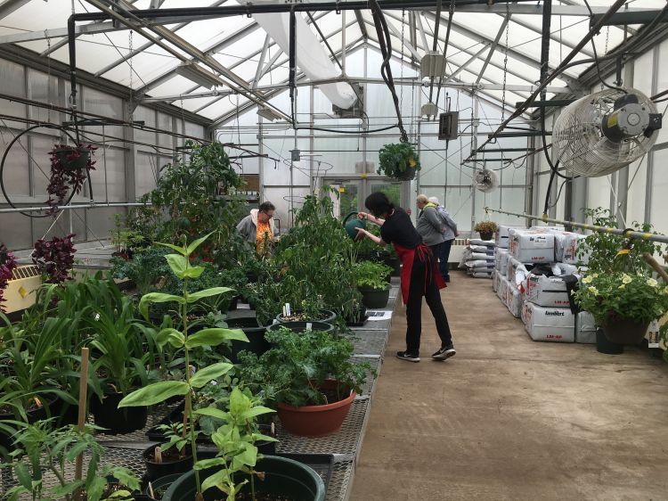 A school greenhouse