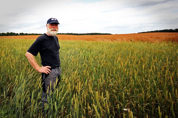 A man standing in a field