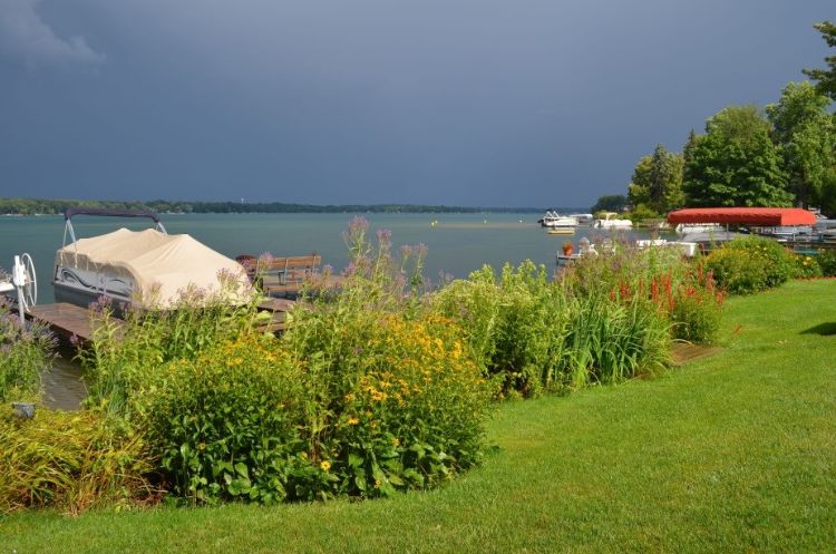 The Gallagher’s natural shoreline on Gull Lake (Kalamazoo County) in its second season (July 2015).