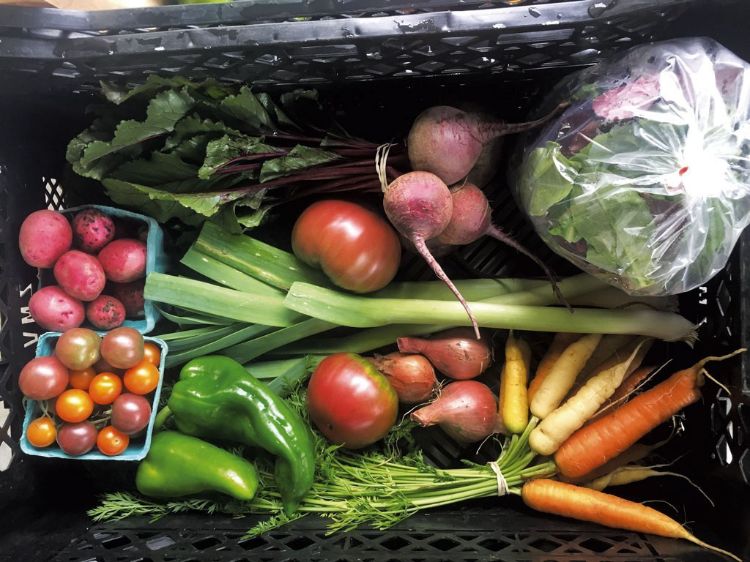 Green and red vegetables.