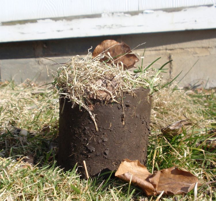 A soil core sample.