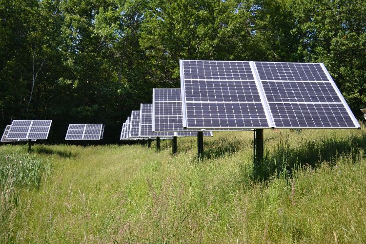 solar array in a hayfield