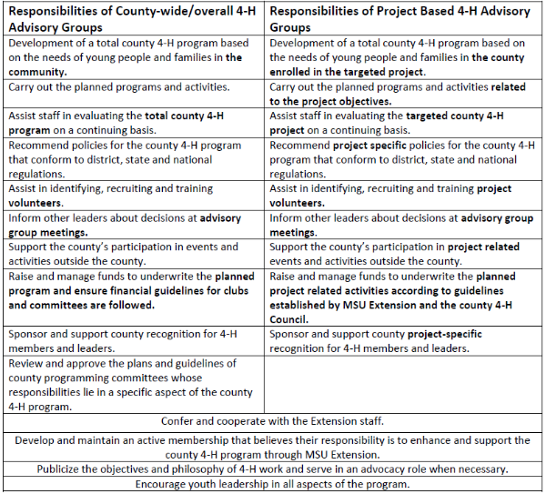 Screenshot of the first page of the 4-H Gold Standard document.