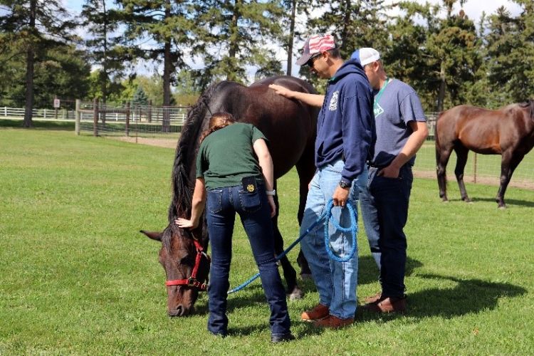 People holding horse while it grazes.