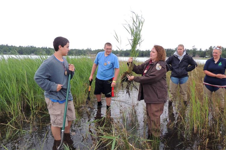 Campers work alongside U.S. Fish and Wildlife Service and Huron Pines ecologists to study and map invasive plants threatening Lake Huron coastal wetlands. Photo credit: Zoe Rote