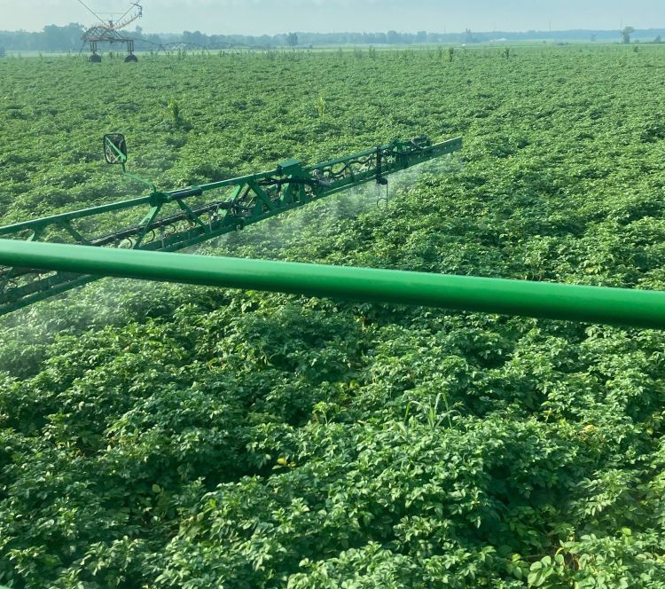 Field sprayer boom extended over a dense green crop canopy, applying a fine mist across the plants, with irrigation equipment visible in the background under hazy skies.