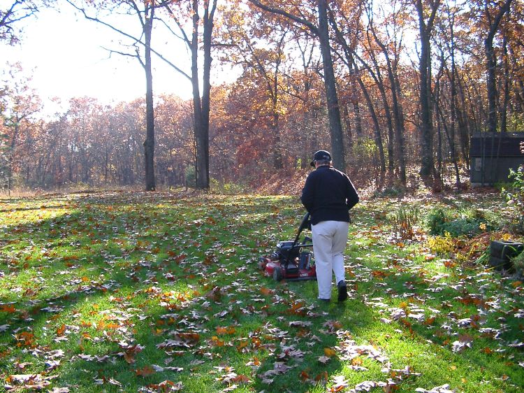 Mowing leaves