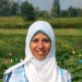 Safa Alzohairy