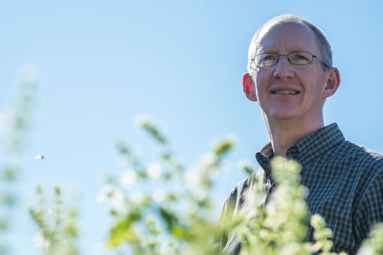 Rufus Isaacs, MSU AgBioResearch entomologist and MSU Extension specialist