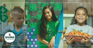 County 4-H endowments are making a difference in local communities
