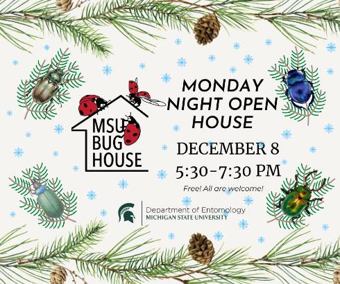 Decorative pine boughs frame a plain background dotted with small snowflakes. Four different beetles including ground beetles and scarabs sit in each corner. Text reads 