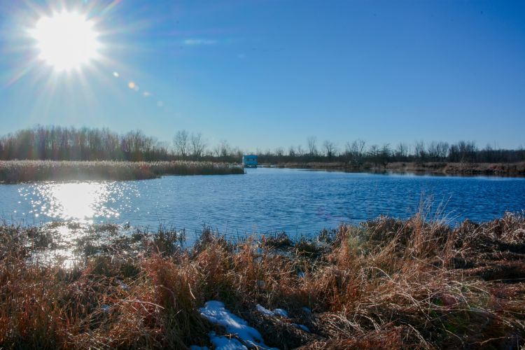 Corey Marsh landscape