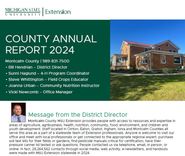 District Director's message