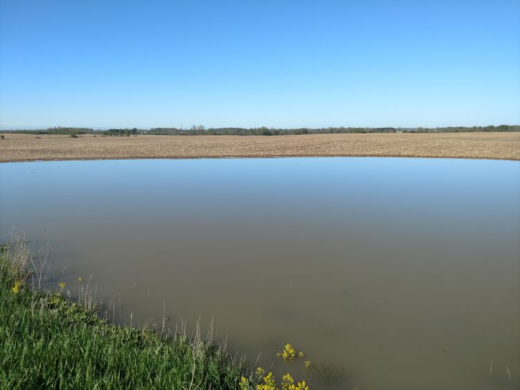 Flooded field