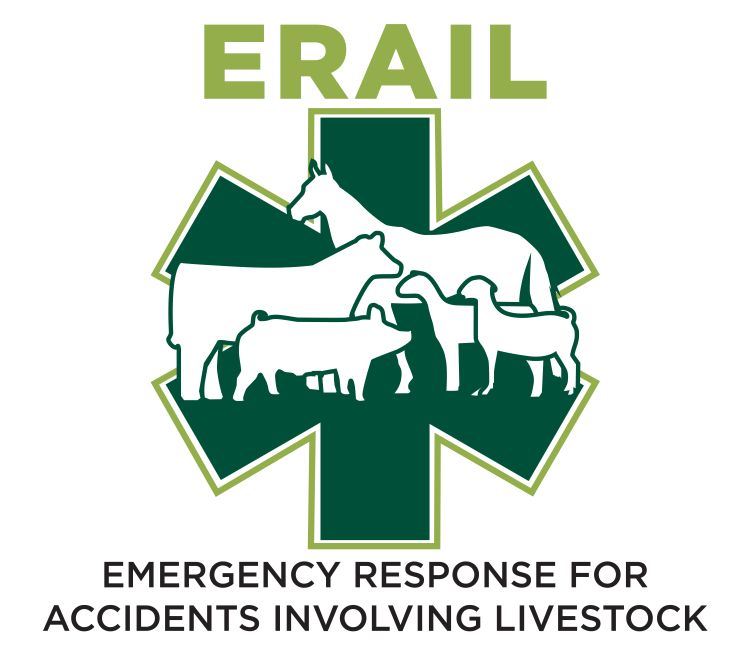 ERAIL Logo