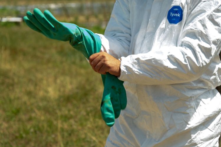 A person puts on green gloves while wearing a white jumpsuit.