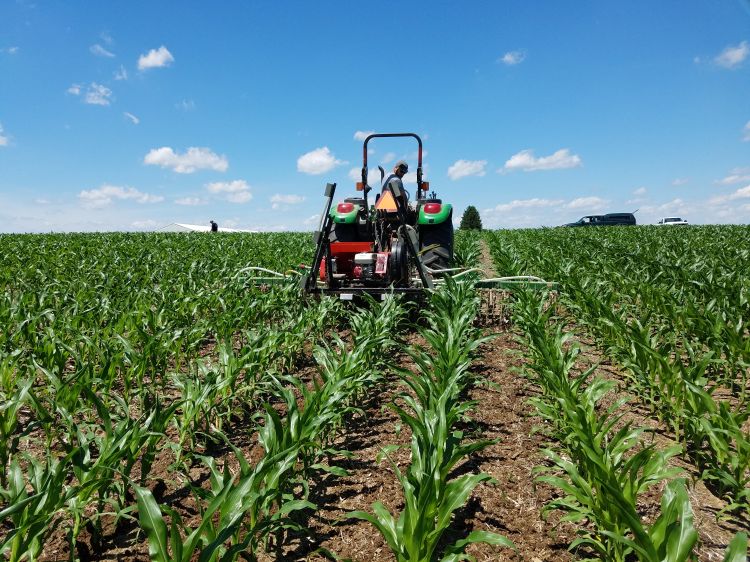 A tractor going through a field of crops.