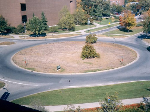 European Chafer damage to roundabout (traffic circle) grass 