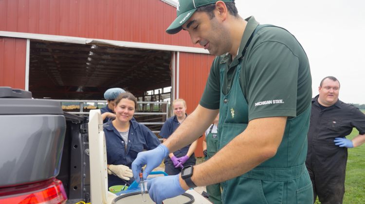 Vet demonstration