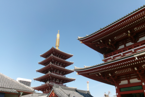 LandTexture: Education Abroad - MSU LA in Japan