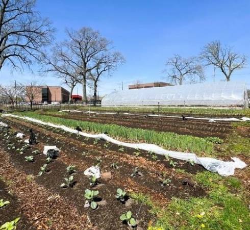 Farm field and high tunnel with a hospital building in the background.