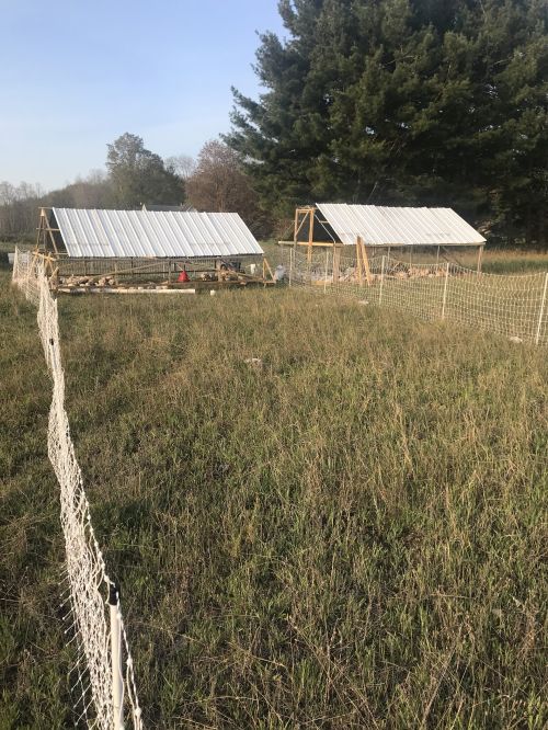 A pasture poultry operation.