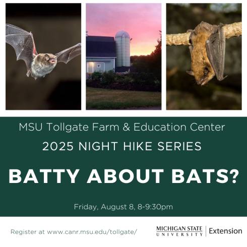 Photos of a bat flying, Tollgate Barn at dusk, and a bat hanging above the program title