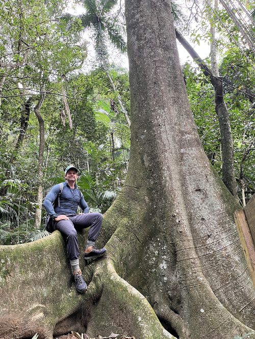 A man sitting on a tree trunk in a forest.