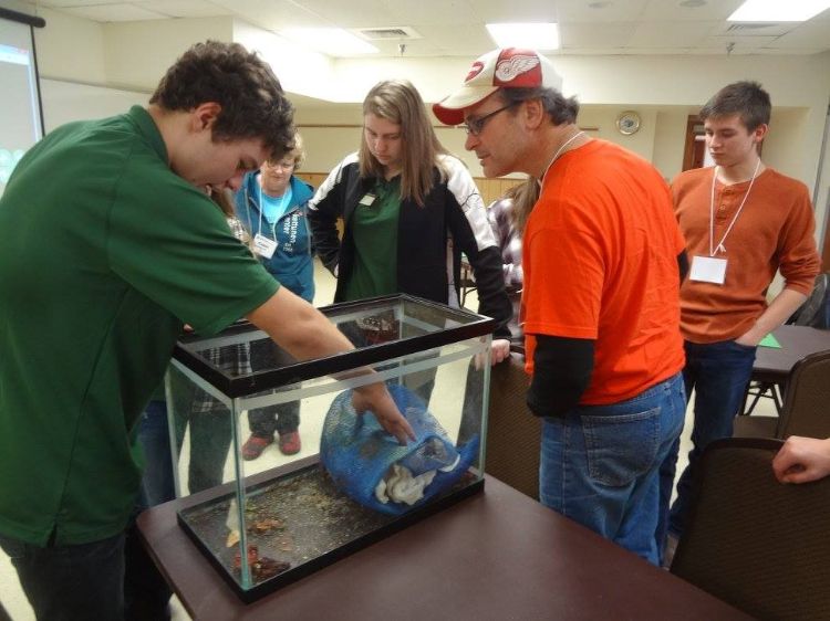 Youth and adults working together to learn about insects