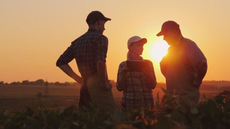 A group of three farmers standing and talking