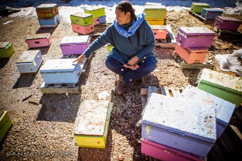 Photo of Melanie Kirby sitting on the ground surrounded by honey bee hives.