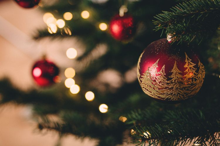 Christmas tree with red ornaments.