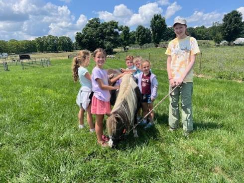 Picture of multiple elementary children with a miniature horse