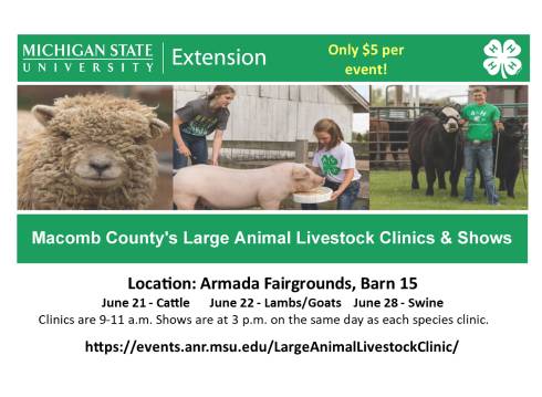 Macomb County's Large Animal Livestock Clinics and Shows graphic