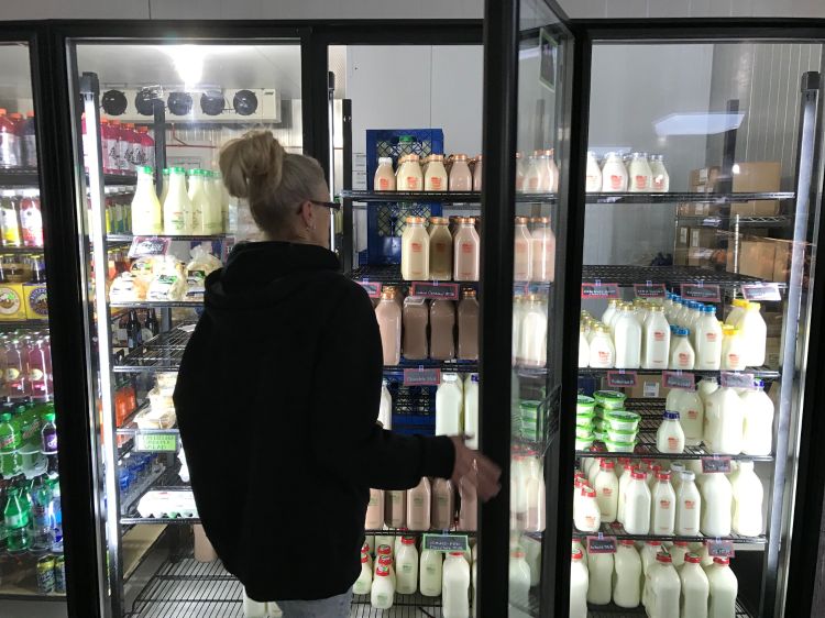 Photo (by Phil Durst): Shopper at Farmer’s Creamery, Mio