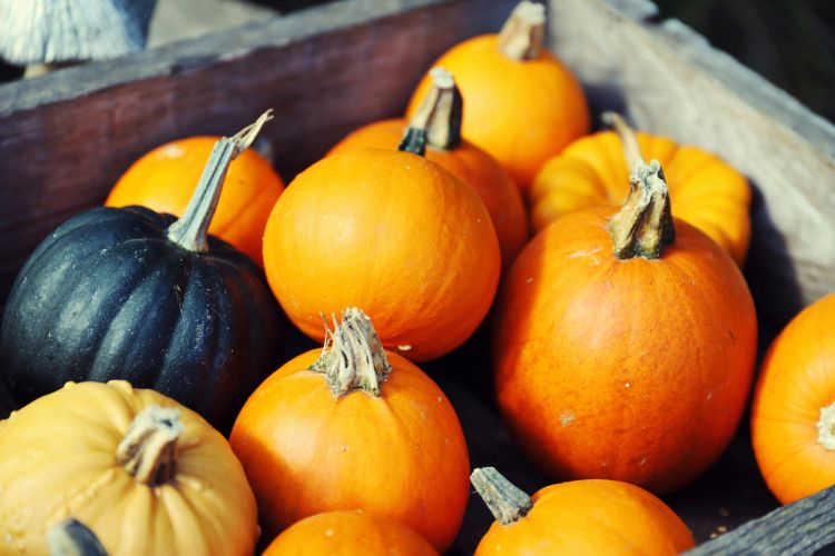A photo of small mostly bright orange pumpkins in a wooden crate.
