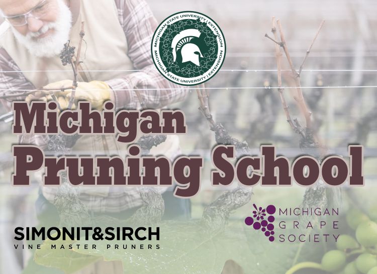 For decorative purposes.