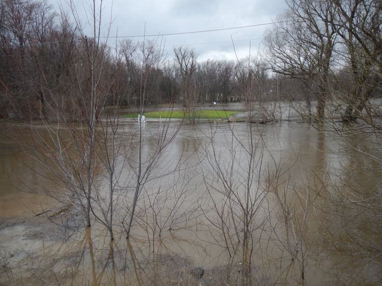 Flooded golf course.