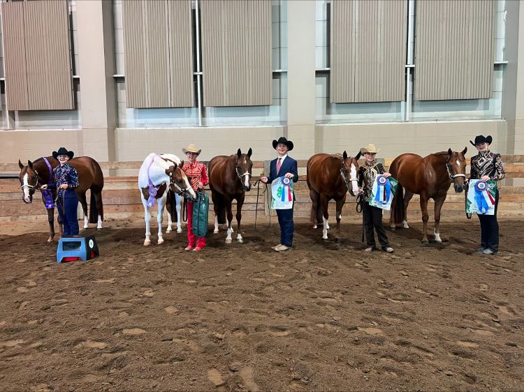 A group of five youth lined up with their horses and their awards at a show.