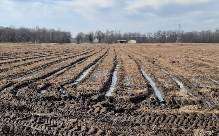 Deep ruts caused by a tractor driving in a wet field.