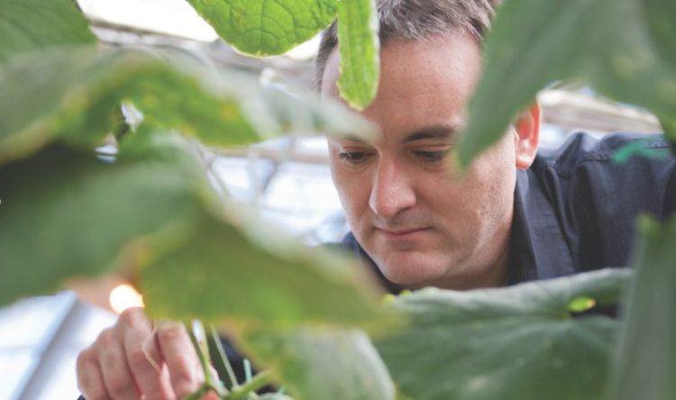 MSU Plant, Soil and Microbial Sciences professor Brad Day.