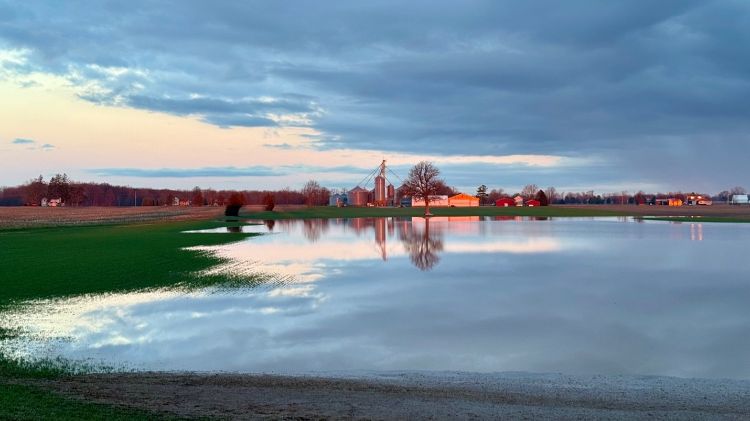 A farm landscape at sunset with standing water flooding a field in the foreground, reflecting a cloudy sky, with barns, silos and trees visible in the distance.